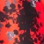 Red/Black