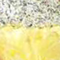Yellow/Silver