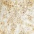 Ivory/Gold