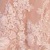 Ivory/Nude