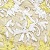 Yellow/Ivory