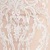 Ivory/Nude