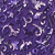 Purple/Lilac