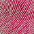 Fuchsia/Silver
