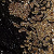 Black Gold
