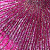 Fuchsia Multi