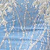 Blue/Silver