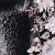 Black Lavender Floral
