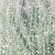 Mint Mirage