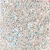 Silver Bloom