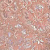 Ivory Blush