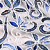 White/Blue