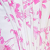 Pink White