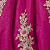 Fuchsia Multi