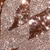 Champagne Rose Gold