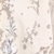 Ivory Champagne