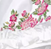 White Fuchsia