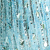 Light Blue/Silver