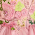 Ice Pink/Multi