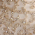 Ivory/Gold