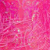 Neon Pink