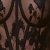 Black-Latte