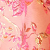 Coral/Pink