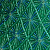 Emerald/Jade/Peacock