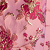 Fuchsia Gold