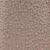 Champagne/White