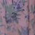 Light Pink Multi