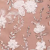 Nude/Ivory