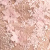 Nude/Pink/Silver