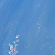 Ocean Blue