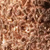 Nude Silver Gold