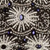 Black/Ivory/Navy/Silver