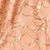 Light Orange Print