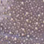 Periwinkle/Ivory/Silver