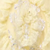 Yellow/Silver