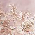 Rose/Gold