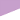 Lilac/White