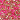 Fuchsia Gold