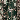 Forest Green/Multi