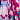 Magenta/Multi