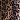 Leopard/Black