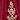 Burgundy/Gold