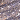 Champagne Periwinkle