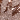 Champagne Rose Gold