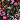Black/Multi