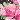 Black/Pink